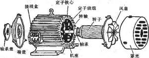 振動電機損壞的常見原因有哪些？